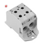 WEIDMÜLLER / 2502700000 / WPD 231 2X95/2X95 GY / Potentialverteilerklemme, Schraubanschluss, lichtgrau, 95 mm², 232 A, / EAN 4050118516524