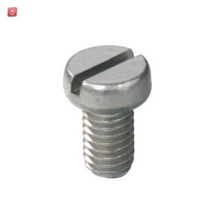 WEIDMÜLLER / 0296700000 / BFSC M5X8 SCHLITZ / Befestigungsschraube (Klemmen), 5.00 mm, Stahl, Tiefe: 8.5 mm, Breite: / EAN 4008190881764