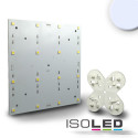 ISO111308 / LED Modul 160x160, 24V/DC, 4,8W, kaltweiss /...