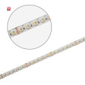 ISO115506 / LED SIL RGB+WW Flexband, 24V, 19W, IP20, 4in1 Chip 96LED/m / 9009377142963