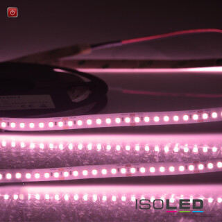 ISO115069 / LED CRI Food Flexband Meat, 24V, 14,4W, IP54 Nano beschichtet / 9009377095368