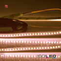 ISO115070 / LED CRI Food Flexband Bread, 24V, 14,4W, IP54...