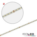 ISO114684 / LED SIL RGB+W+WW Flexband, 24V, 19W, IP20, 5in1 Chip / 9009377085536