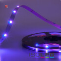 ISO112068 / LED SIL-Flexband, 24V, 7,2W, IP20, RGB /...