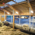 ISO114355 / LED Hallenleuchte Linear SK 100W, IK10, IP65, neutralweiß, 30°, 1-10V dimmbar / 9009377076695