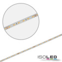 ISO114634 / LED CRI919/940 MiniAMP Flexband, 24V, 10W, weißdynamisch, 250cm, beidseitiges Kabel mit male-Stecker / 9009377084386