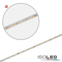 ISO114634 / LED CRI919/940 MiniAMP Flexband, 24V, 10W, weißdynamisch, 250cm, beidseitiges Kabel mit male-Stecker / 9009377084386