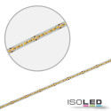 ISO114639 / LED CRI919/940 MiniAMP Flexband, 24V, 15W, weißdynamisch, 250cm, beidseitiges Kabel mit male-Stecker / 9009377084485