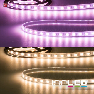 ISO113901 / LED AQUA RGB+WW Flexband, 24V, 19W, IP67, 4in1 chip / 9009377065873