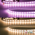 ISO113901 / LED AQUA RGB+WW Flexband, 24V, 19W, IP67,...