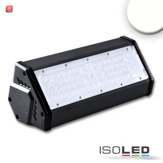 ISO113737 / LED Hallenleuchte LN 50W, IK10, IP65, neutralweiß, 30°x70°, 1-10V dimmbar / 9009377062803