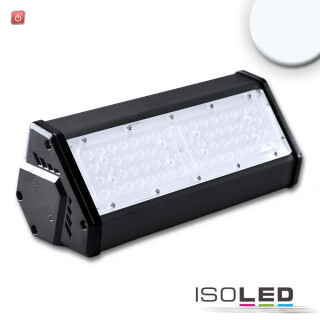 ISO113738 / LED Hallenleuchte LN 50W, IK10, IP65, kaltweiß, 30°x70°, 1-10V dimmbar / 9009377062940