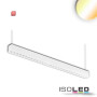 ISO114061 / LED Aufbau/Hängeleuchte Linear Raster 40W, anreihbar, weiß, ColorSwitch 3000|3500|4000K / 9009377070372