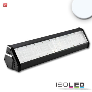 ISO113415 / LED Hallenleuchte LN 100W, IK10, IP65, kaltweiß, 30°x70°, 1-10V dimmbar / 9009377053917