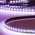 ISO113598 / LED RGB Linear10-Flexband, 24V, 12W, IP20, 10m Rolle / 9009377059766