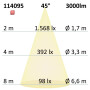 ISO114095 / 3-PH Raster-Schienen-Strahler, 35W, 45°, schwarz matt, neutralweiß / 9009377071201