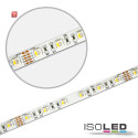 ISO112734 / LED SIL RGB+KW Flexband, 24V, 19W, IP20, 4in1 Chip / 9009377039164
