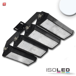 ISO113752 / LED Fluter/Hallenleuchte LN 4x 50W, IK10, 30°x70°, IP65, 1-10V dimmbar, kaltweiß / 9009377063084