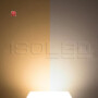 ISO114151 / LED Decken/Wandleuchte mit HF-Sensor 24W, quadratisch, IP54, ColorSwitch 3000K|4000K, weiß / 9009377073014