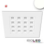 ISO114182 / LED Panel UGR<16 Line 625, 36W, Rahmen weiß, neutralweiß, Push oder DALI dimmbar / 9009377077722