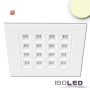 ISO114185 / LED Panel UGR<16 Line 625, 36W, Rahmen weiß, warmweiß, dimmbar / 9009377078286