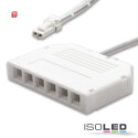 ISO114499 / MiniAMP 6-fach Verteiler (1 male-Stecker an 6...