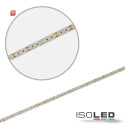 ISO114641 / LED CRI919/940 MiniAMP Flexband, 24V, 20W, weißdynamisch, 250cm, beidseitiges Kabel mit male-Stecker / 9009377084522