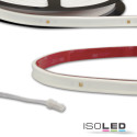 ISO114673 / LED UV-C MiniAMP Flexband 270nm, 12V DC, 12W, IP54, 116cm, weiß, einseitig Kabel mit male-Stecker / 9009377085277