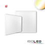 ISO115162 / LED Panel HCL Line 600, UGR<19 4H/8H, CRI90, 42W, weißdynamisch, DALI DT8 / 9009377096877