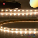 ISO115259 / LED CRI90 SUNSET Dimm-to-warm (via PWM)...