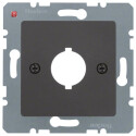 BER14311606 / Zentralplatte f BG D: 18,8 mm anthr matt /...