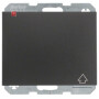 BER47517106 / Steckdose SCHUKO m KD erh BS K.1 anthr / EAN 4011334296461