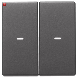 BER80960326 / Abdeckung 2f. Tastsen.-Modul Q.x anth / EAN 3250617152877