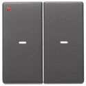 BER80960326 / Abdeckung 2f. Tastsen.-Modul Q.x anth / EAN...