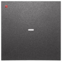 BER80960285 / Abdeckung 1f. Tastsen.-Modul S/B anth / EAN...