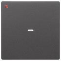 BER80960226 / Abdeckung 1f. Tastsen.-Modul Q.x anth / EAN...