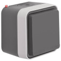 BER6768813515 / Steckdose m SK-Stift e BS KD AP W.1 grau...