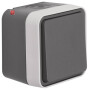 BER50453525 / Taster Schließer AP W.1 grau / EAN 4011334441021