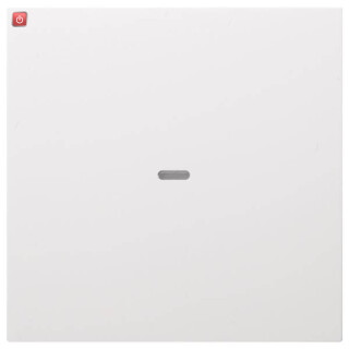 BER80960289 / Abdeckung 1f. Tastsen.-Modul S/B pw / EAN 3250617152822