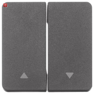 BER30753535 / Wippe 2fach mit Symbol Pfeil W.1 grau / EAN 4011334441083