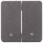 BER30753535 / Wippe 2fach mit Symbol Pfeil W.1 grau / EAN 4011334441083