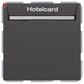 BER16409906 / Relaisscha. m ZS für Hotelc S1/B3/7 anth / EAN 4011334404774