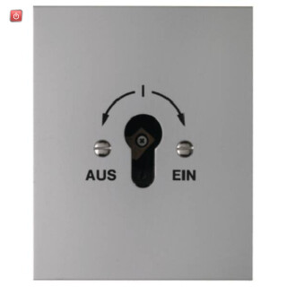BER4416 / Schlüsselschalter UP für Profil-Halbzy / EAN 4011334029007