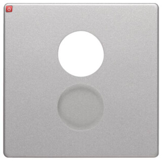 BER11966084 / Zentralstück f Lsp-Std 1F Q1 Alu Lack / EAN 4011334443063