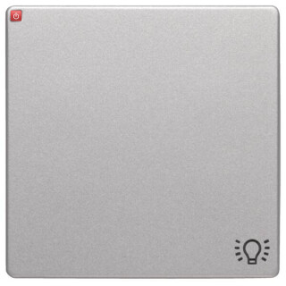 BER16206044 / Wippe mit Aufdr Symbol Licht Q.1/Q.3 alu / EAN 4011334443223