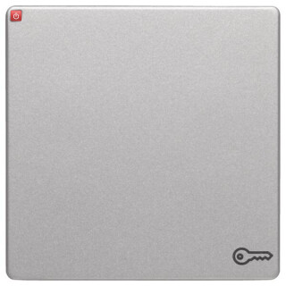 BER16206064 / Wippe mit Aufdr Symbol Tür Q.1/Q.3 alu / EAN 4011334443261