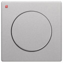 BER11376084 / Zentralstück m Knopf f D-Dimm Q.1/3...