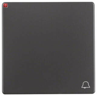 BER16206056 / Wippe mit Aufdr Symbol Klingel Q.1/3 ant / EAN 4011334379782
