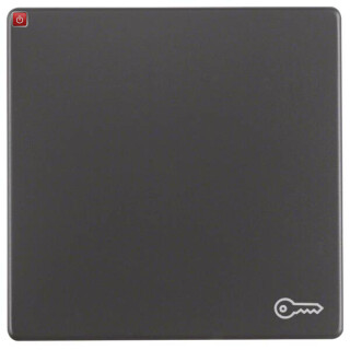BER16206066 / Wippe mit Aufdr Symbol Tür Q.1/Q.3 ant / EAN 4011334379836