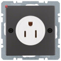 BER41666086 / Steckdose SK NEMA 5-15 R Q.1/Q.3 anth / EAN...